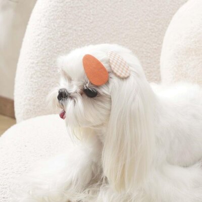 M-Pets Glam Fiyonk-Gözlük İkili Kedi ve Köpek Süs Tokası (Turuncu)