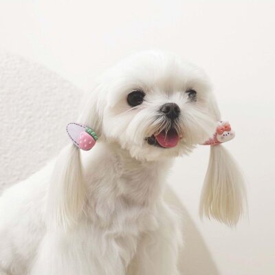 M-Pets Glam Çilek Figürlü Kedi ve Köpek Süs Tokası (Pembe)