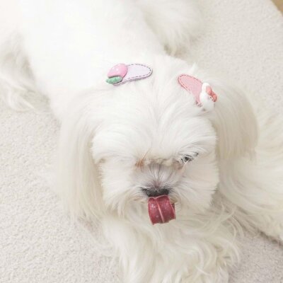 M-Pets Glam Çilek Figürlü Kedi ve Köpek Süs Tokası (Pembe)