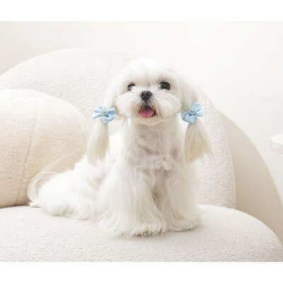 M-Pets Glam İncili Fiyonklu Kedi ve Köpek Süs Tokası (Mavi)