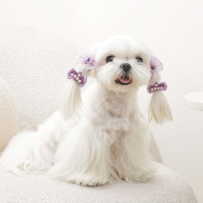M-Pets Glam İncili Fiyonklu Kedi ve Köpek Süs Tokası (Mor)