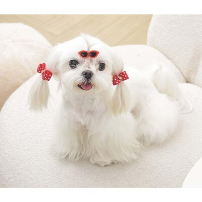 M-Pets Glam Gözlük Fiyonklu Kedi Köpek Süs Tokası Kırmızı