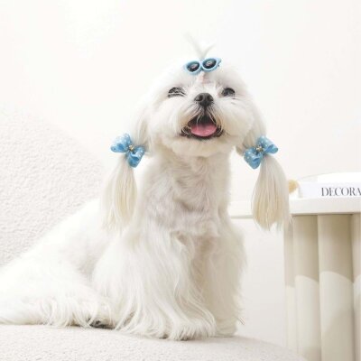 M-Pets Glam Gözlük Fiyonklu Kedi Köpek Süs Tokası Mavi