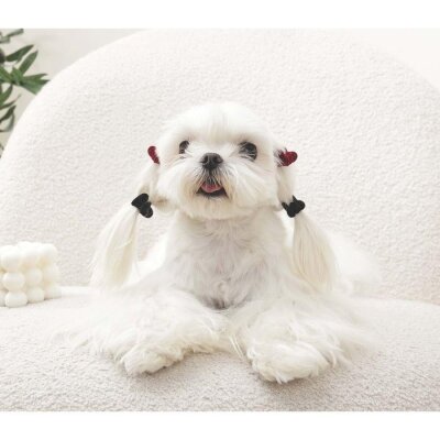 M-Pets Glam Kalpli Kedi ve Köpek Süs Tokası (Kırmızı/Siyah)
