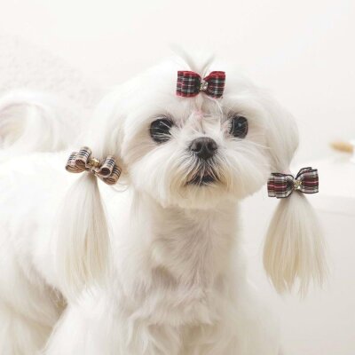 M-Pets Glam Kareli Fiyonklu Kedi ve Köpek Süs Tokası (Kırmızı)