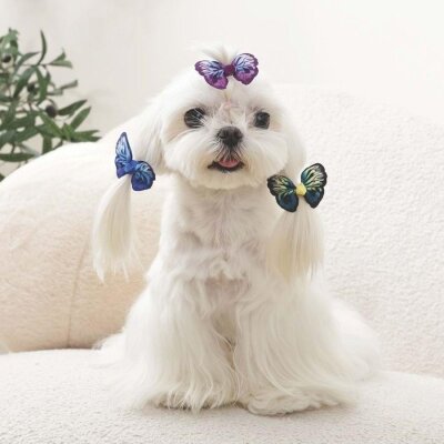 M-Pets Glam Kelebekli Kedi ve Köpek Süs Tokası (Mavi/Mor/Yeşil)