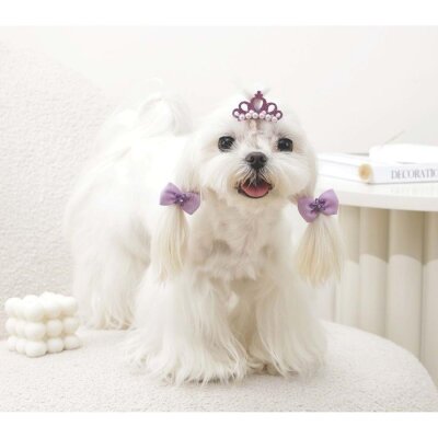 M-Pets Glam Taç-Fiyonk İkili Kedi ve Köpek Süs Tokası (Mor)