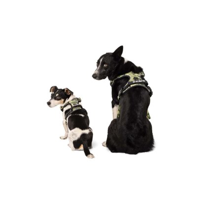 M-Pets Su Geçirmez Kamuflaj Reflektörlü Köpek Tasması (L)
