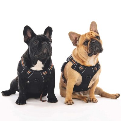 M-Pets Hiking Su Geçirmez Reflektörlü Köpek Göğüs Tasması Turuncu M