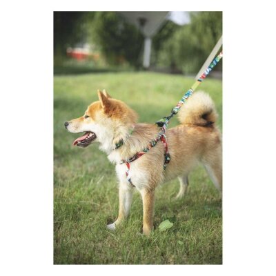 M-Pets Geri Dönüştürülmüş Şehir Tarzı Köpek Tasması (L)