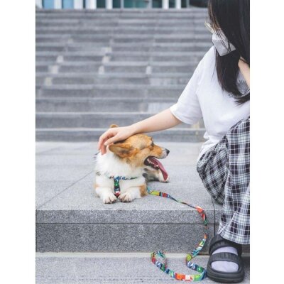 M-Pets Geri Dönüştürülmüş Şehir Tarzı Köpek Tasması (L)