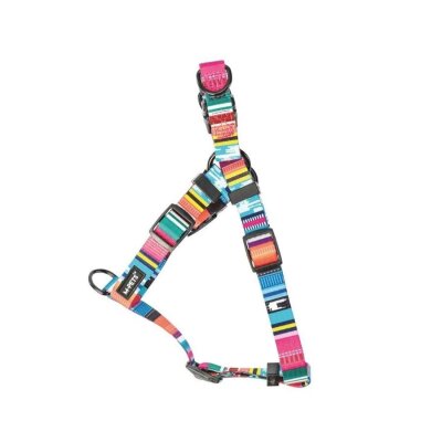 M-Pets Çizgili Geri Dönüştürülmüş Şehir Köpek Tasması (M)