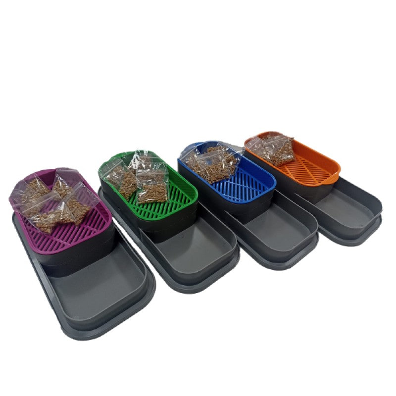 5 Paket Tohumlu Topraksız Hidroponik Kedi Çimi Kabı