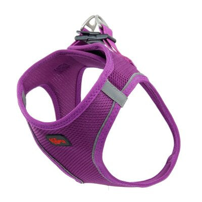 Natura Air Net Nefes Alabilen Reflektif Köpek Göğüs Tasması (XS, Mor)