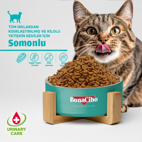 BonaCibo Somonlu Kısırlaştırılmış Yetişkin Kedi Kuru Maması 2 kg x 2