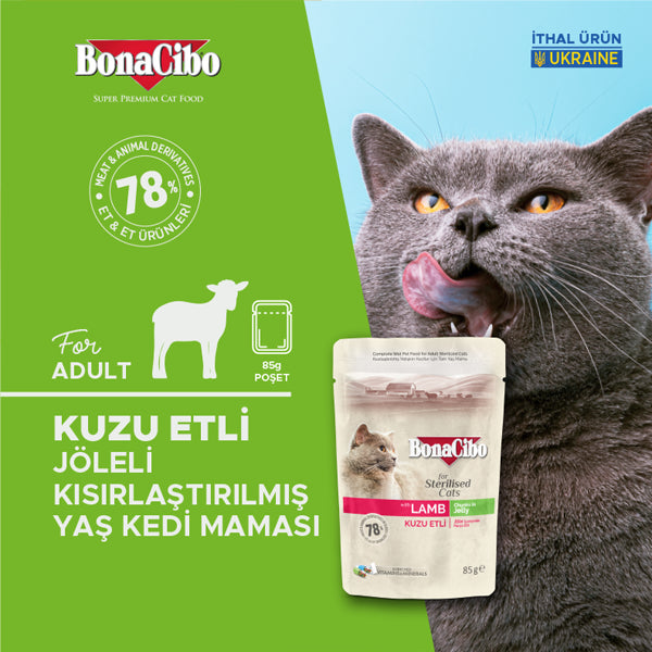 BonaCibo Jöleli Kuzu Etli Kısırlaştırılmış Kedi Maması 85 gr x 12