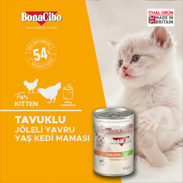 BonaCibo Jöleli Tavuklu Yavru Kedi Yaş Maması 400 gr x 24
