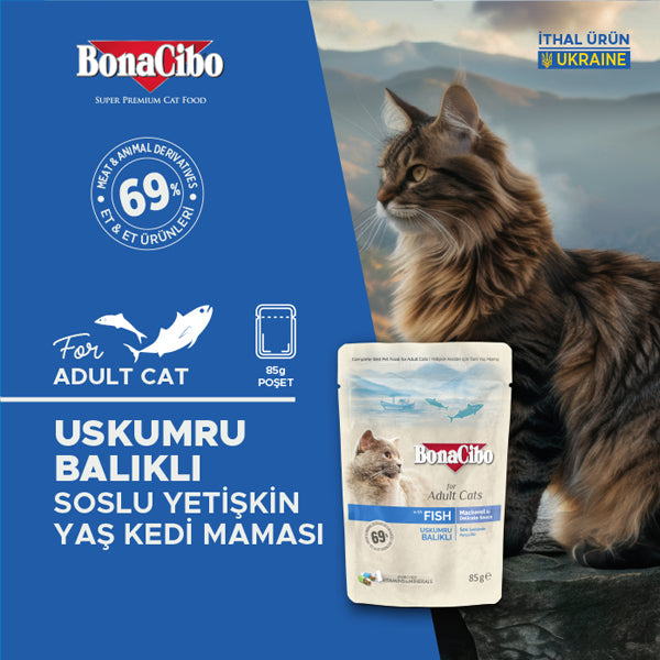 BonaCibo Soslu Uskumru Balıklı Kedi Pouch Maması 85 gr x 12