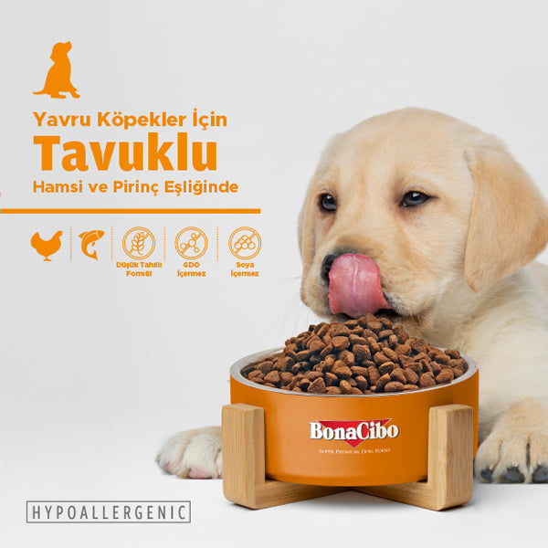 BonaCibo Omega-3'lü Tavuk-Balıklı Yavru Köpek Kuru Maması 100 gr x 5