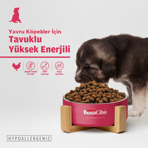 BonaCibo Yüksek Enerjili Yavru Köpek Kuru Maması 100 gr x 5