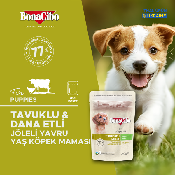 BonaCibo Jöleli Tavuk-Dana Etli Yavru Köpek Pouch Maması 100 gr x 12