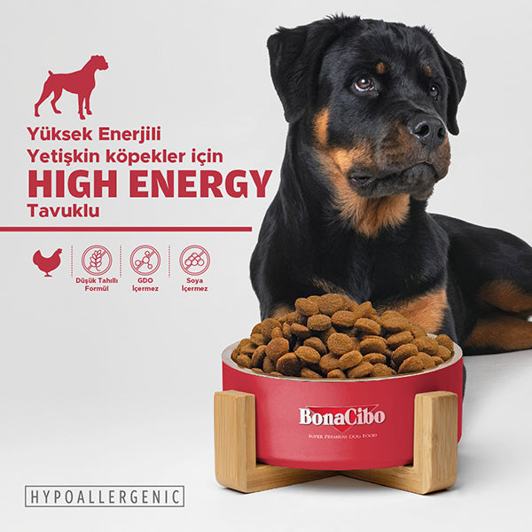 BonaCibo Yüksek Enerjili Yetişkin Köpek Kuru Maması 100 gr x 5