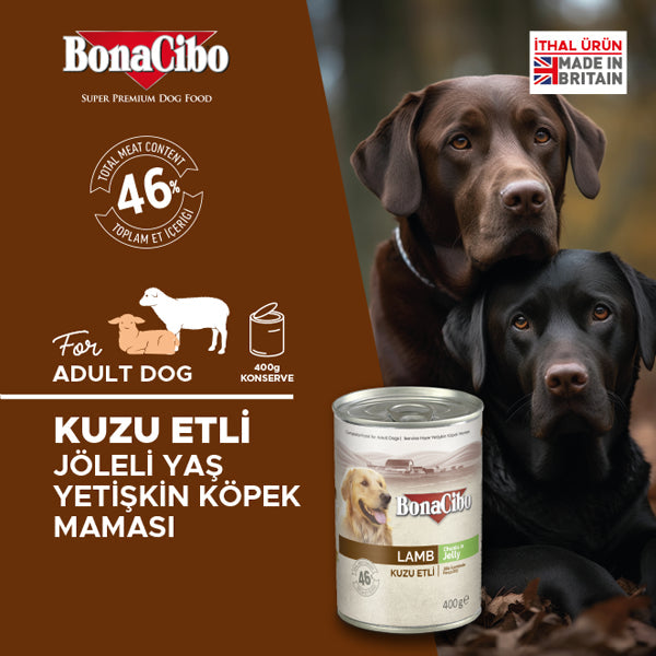 BonaCibo Jöleli Kuzu Etli Yetişkin Köpek Yaş Maması 400 gr x 6