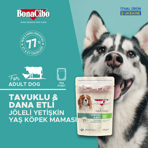 BonaCibo Jöleli Tavuk-Dana Etli Yetişkin Köpek Maması 100 gr x 12