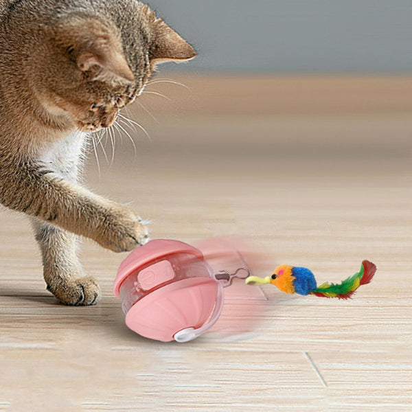 USB Şarjlı Otomatik Hareketli Kedi Oyun Topu