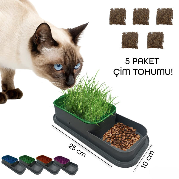 5 Paket Tohumlu Topraksız Hidroponik Kedi Çimi Kabı