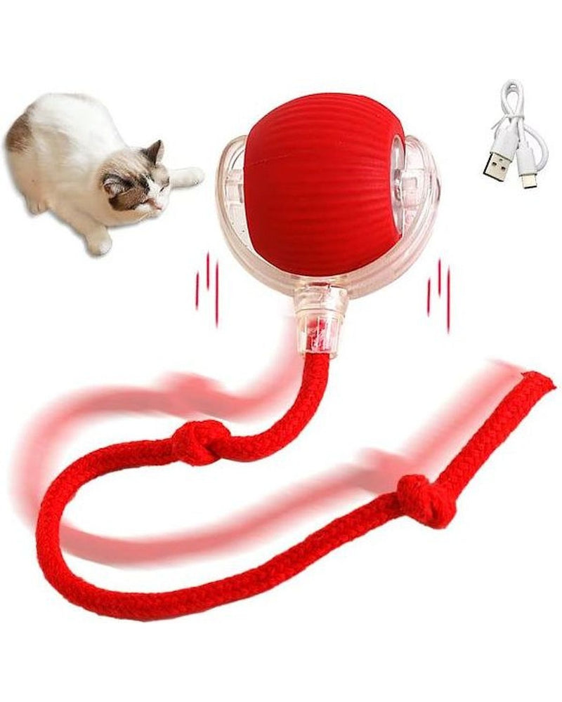 Şarjlı Titreşimli Uzun İpli Kedi Oyuncağı
