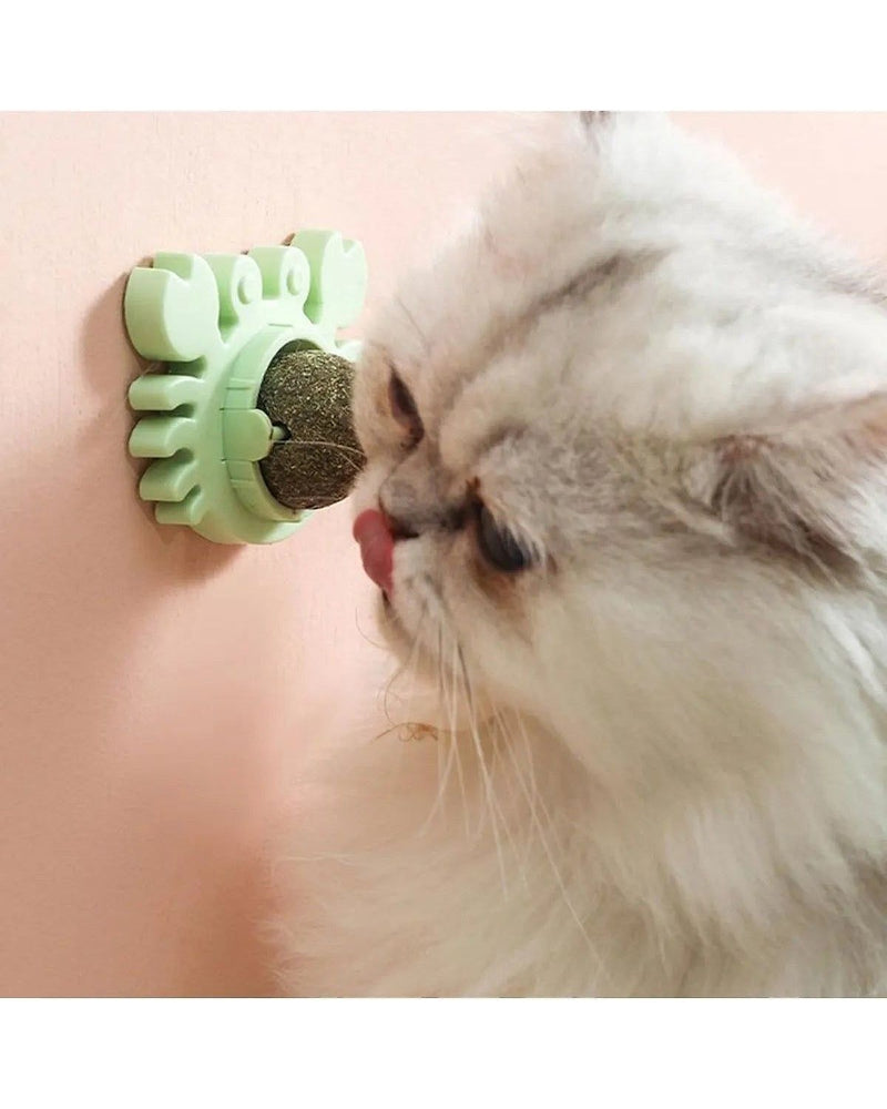 Yengeç Figürlü Kedi Otu (Catnip) Yalama Topu