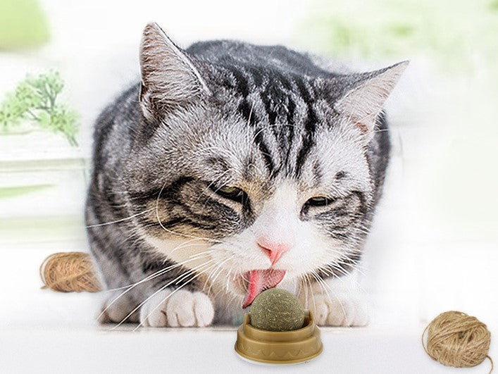 Yapışkanlı Kedi Otu (Catnip) Oyun Topu