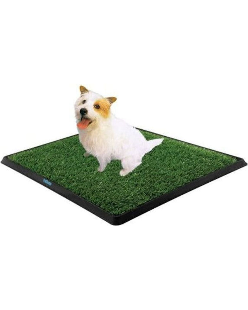 Sentetik Çimli Yıkanabilir Köpek Tuvalet Eğitim Seti