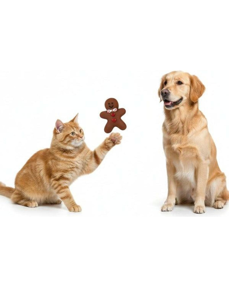Sesli Çiğneme Bisküvi Adam Köpek Oyuncağı