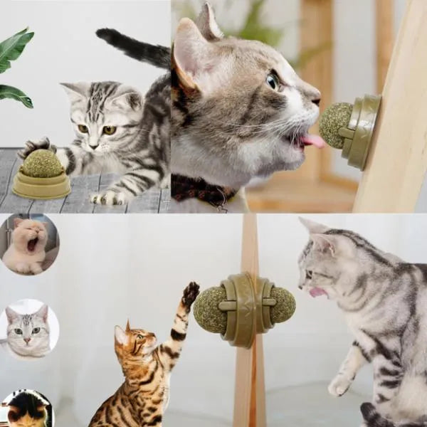 Kedi Nanesi Dolgulu Oyun Topu