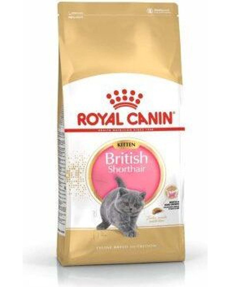 Royal Canin British Shorthair Özel Yavru Kedi Maması 2 kg