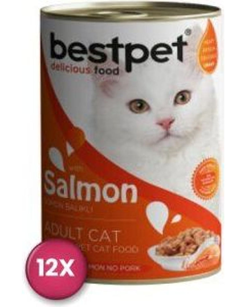 Bestpet Somonlu Yetişkin Kedi Konservesi 400 gr x 12
