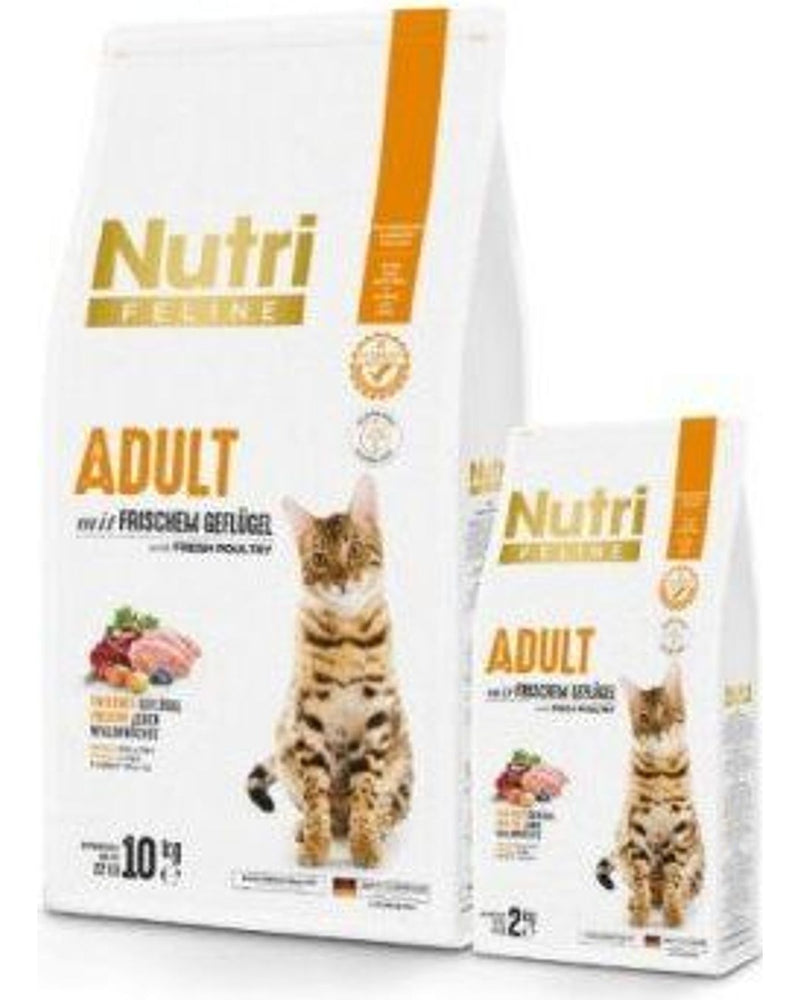 Nutri Feline Tavuklu Tahılsız Yetişkin Kedi Maması 10 kg