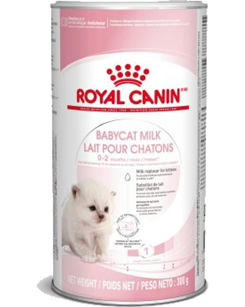 Royal Canin Babycat Yavru Kedi Süt Tozu 300 gr