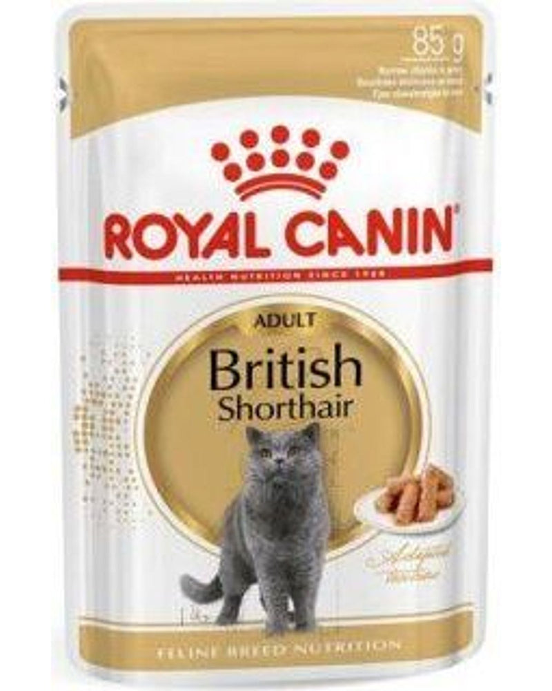 Royal Canin British Shorthair Sos İçinde Kedi Konservesi 85 gr