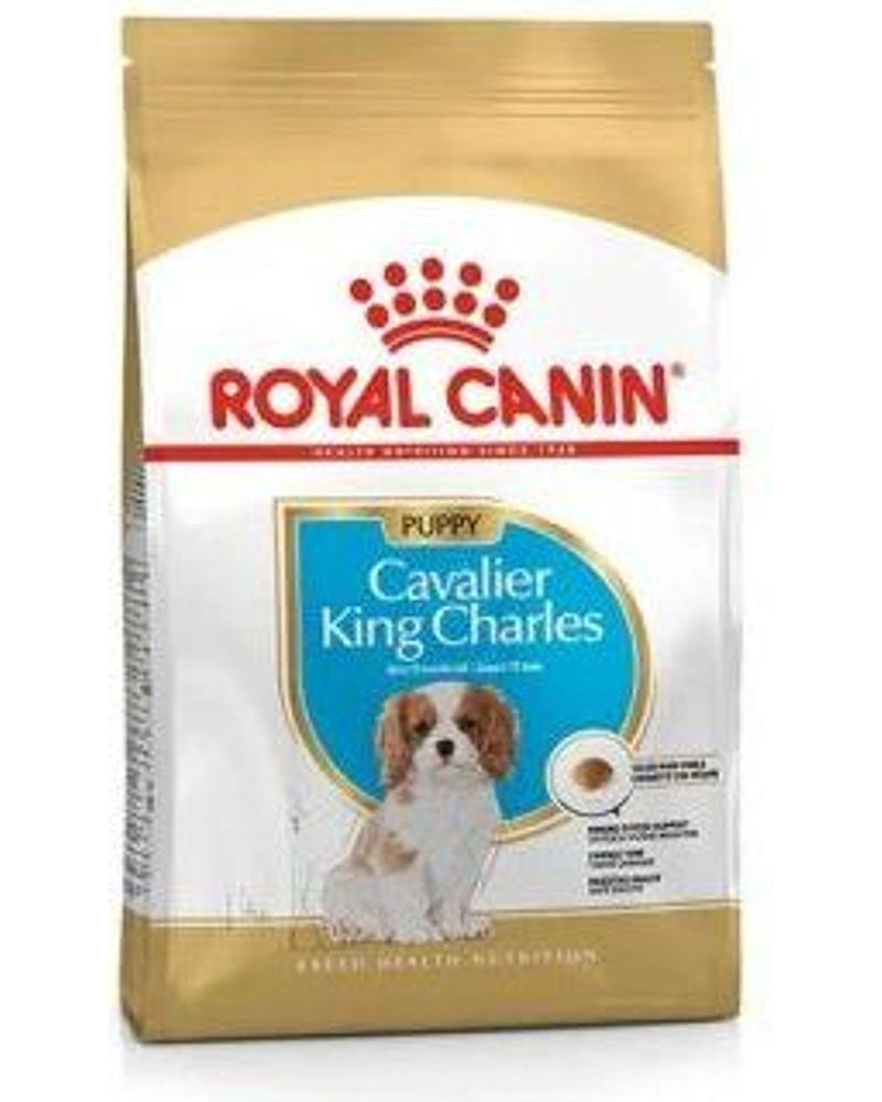 Royal Canin Cavalier King Charles Yavru Köpek Maması 1,5 kg