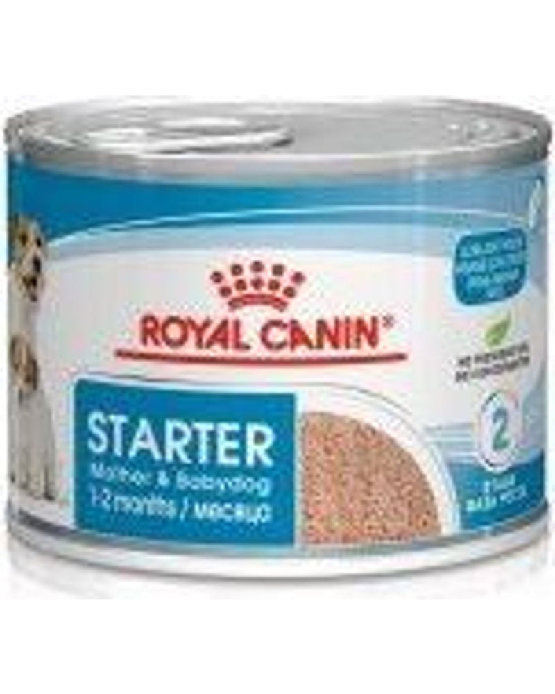 Royal Canin Starter Mousse Anne ve Yavru Köpek Konservesi 195 gr