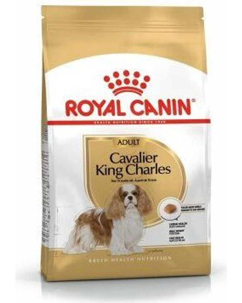Royal Canin Cavalier King Charles Irka Özel Köpek Maması 3 kg