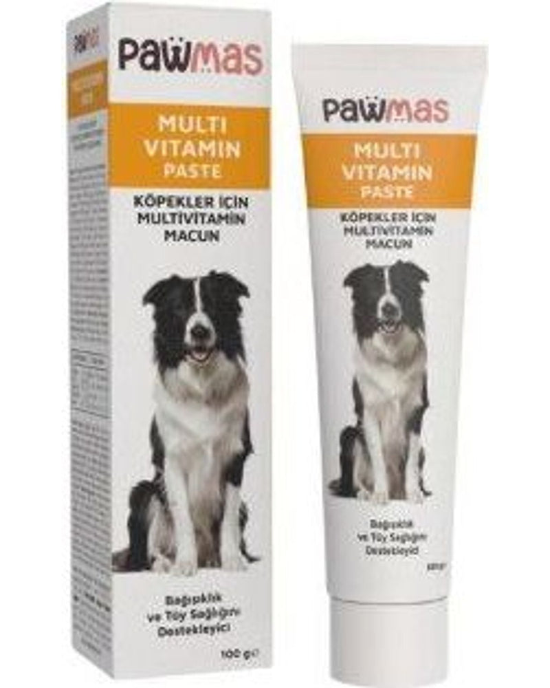 Pawmas Multivitaminli Bağışıklık Destek Köpek Macunu 100 g