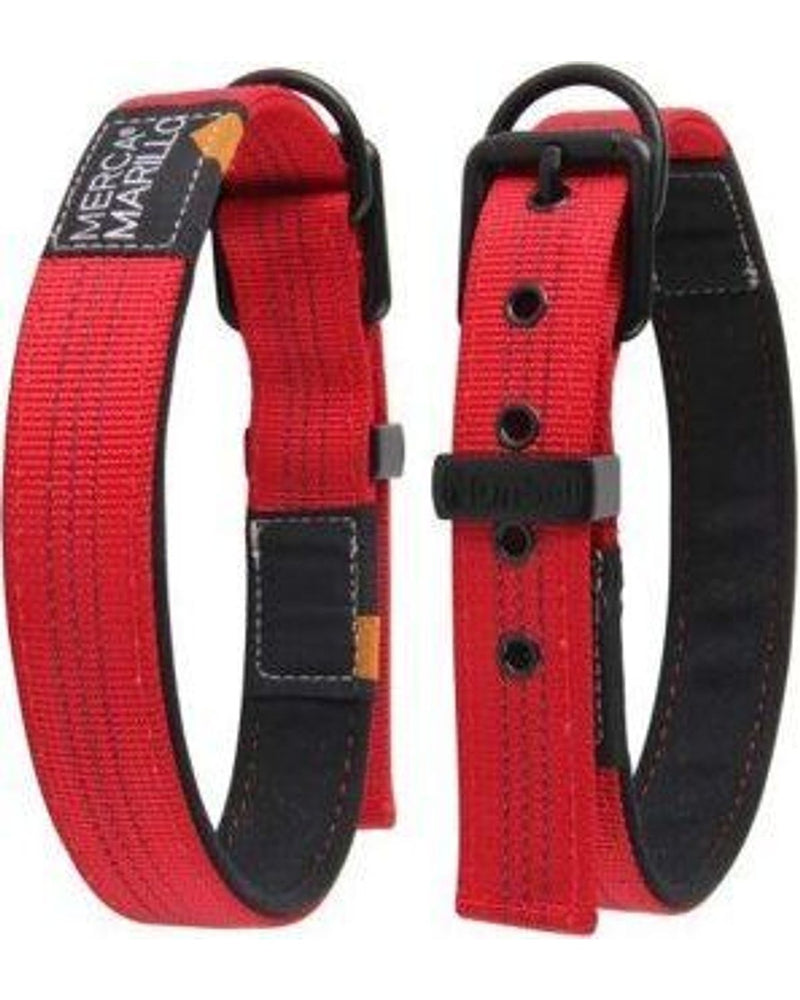 Nunbell Emniyet Kilitli Ayarlanabilir Köpek Boyun Tasması 2,5 cm