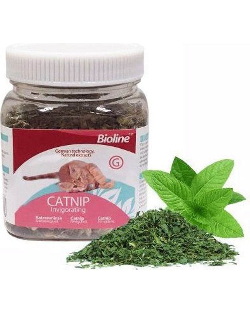Doğal Toz Kedi Otu (Catnip) 20 gr