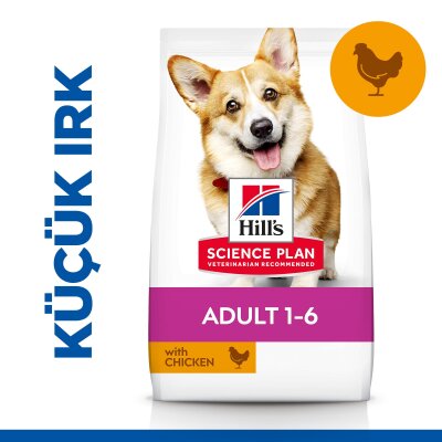 Hill's Science Plan Tavuklu Küçük Irk Yetişkin Köpek Maması 6 kg