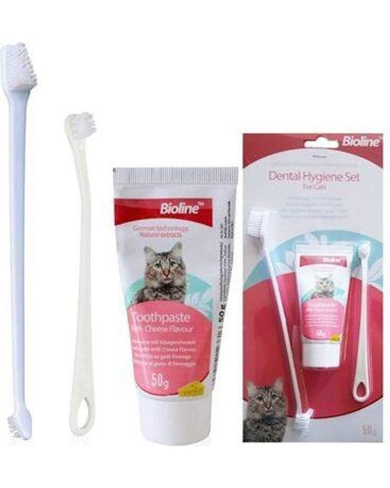 Bioline Peynir Aromalı Macun ve 2 Fırçalı Kedi Ağız Bakım Seti