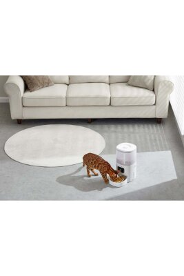 Pawgether F2S WiFi Kontrollü 4 L Çelik Otomatik Mama Kabı